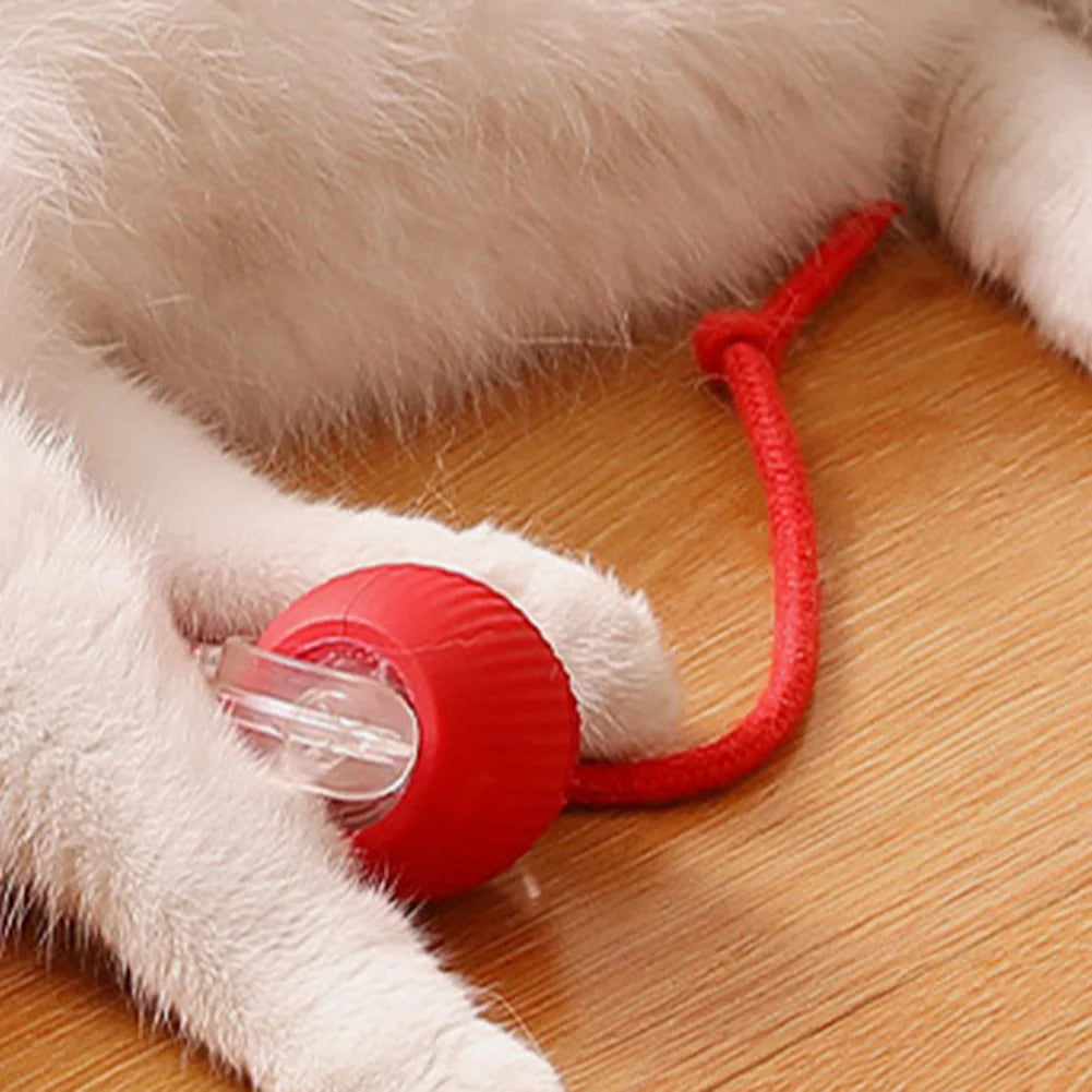 MindMeow - den intelligenta bollen