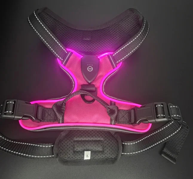 LumaVest - hundsele med LED