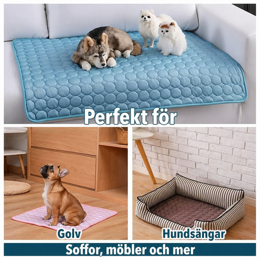 CoolPaws Mat
