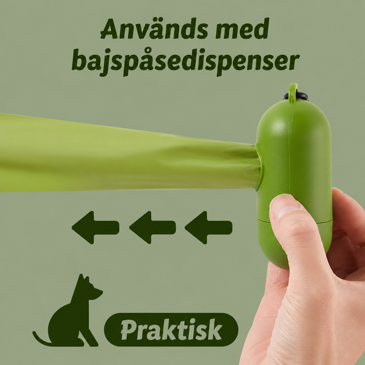 EcoPaws