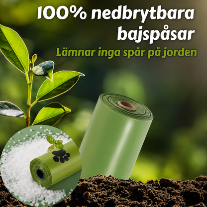 EcoPaws