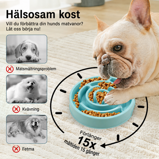 Royal Paw Bowl - matskål