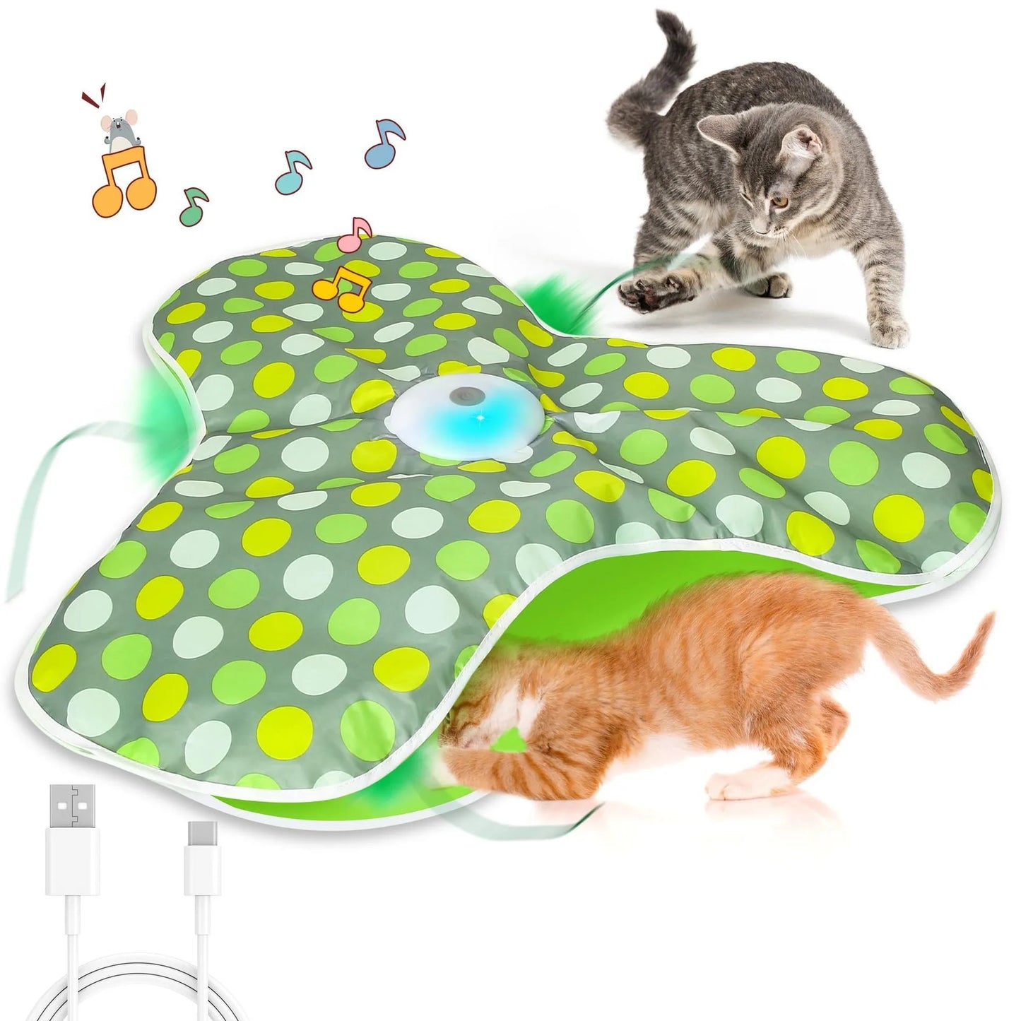 MeowMotion
