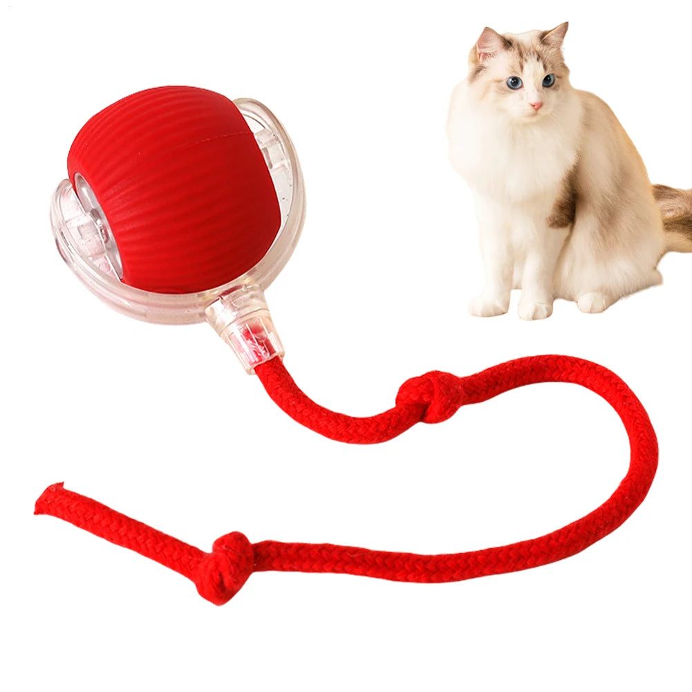 MindMeow - den intelligenta bollen