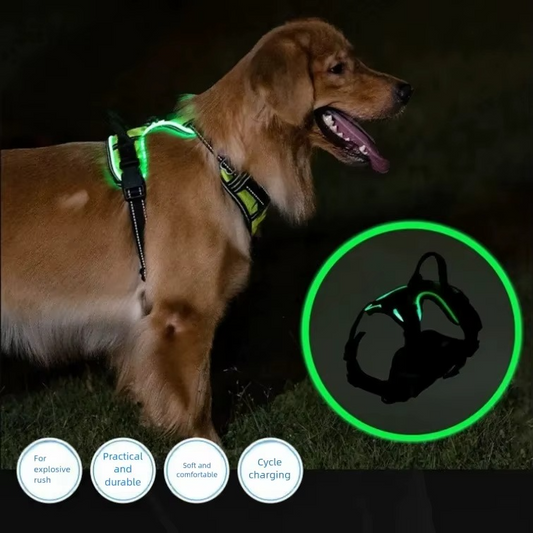LumaVest - hundsele med LED