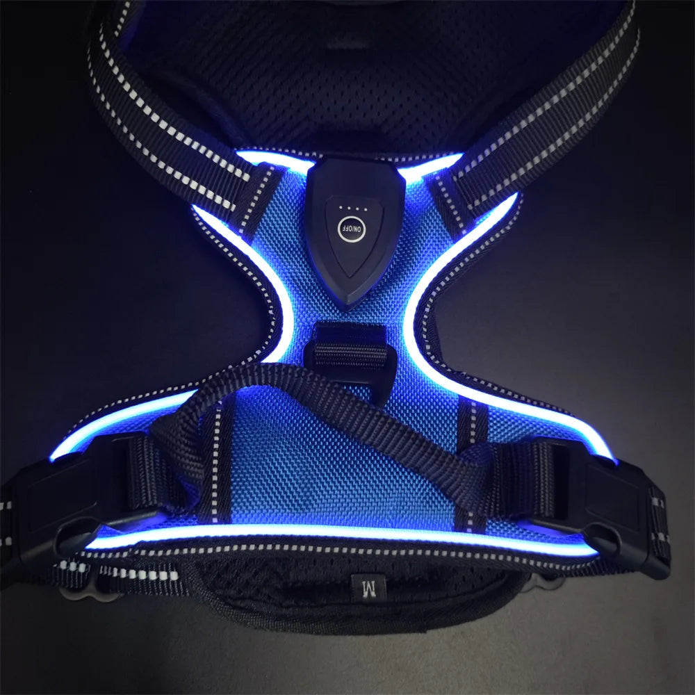 LumaVest - hundsele med LED