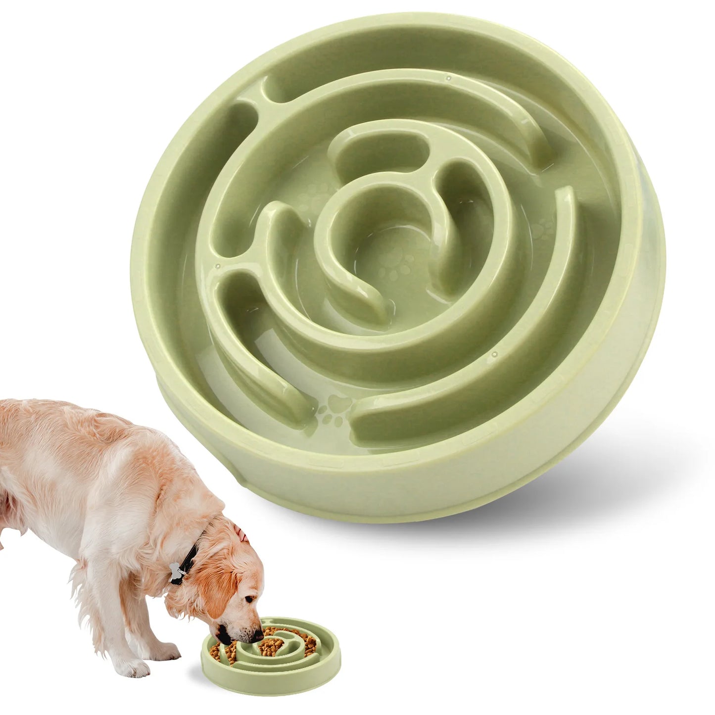 Royal Paw Bowl - matskål