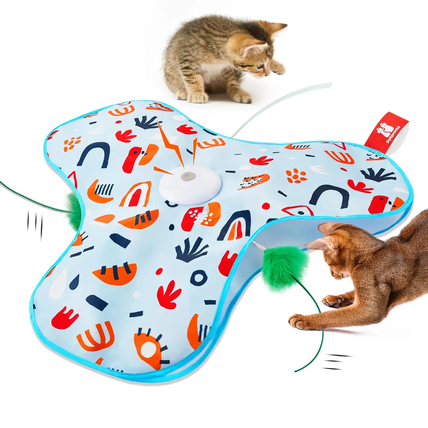MeowMotion