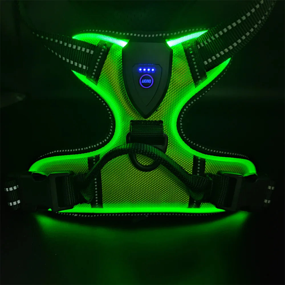 LumaVest - hundsele med LED
