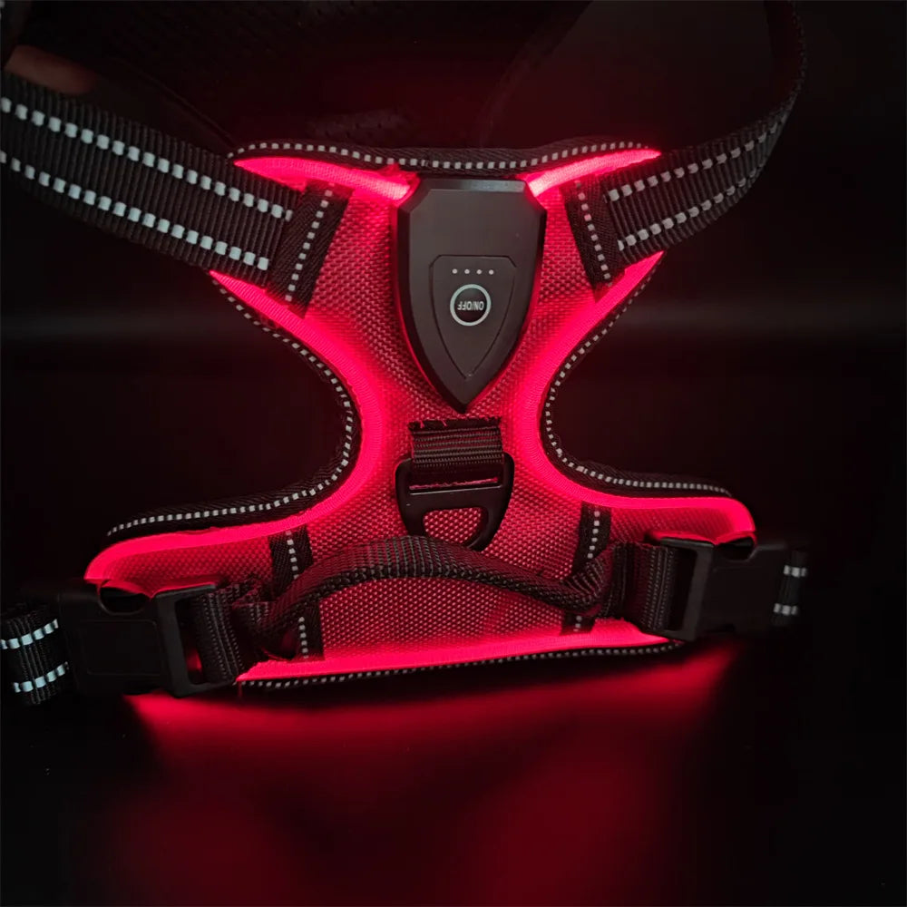 LumaVest - hundsele med LED