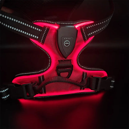 LumaVest - hundsele med LED