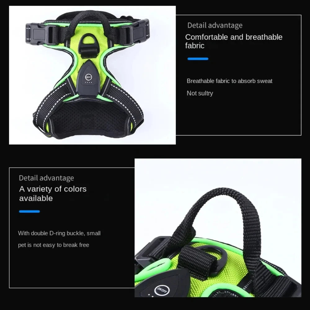 LumaVest - hundsele med LED
