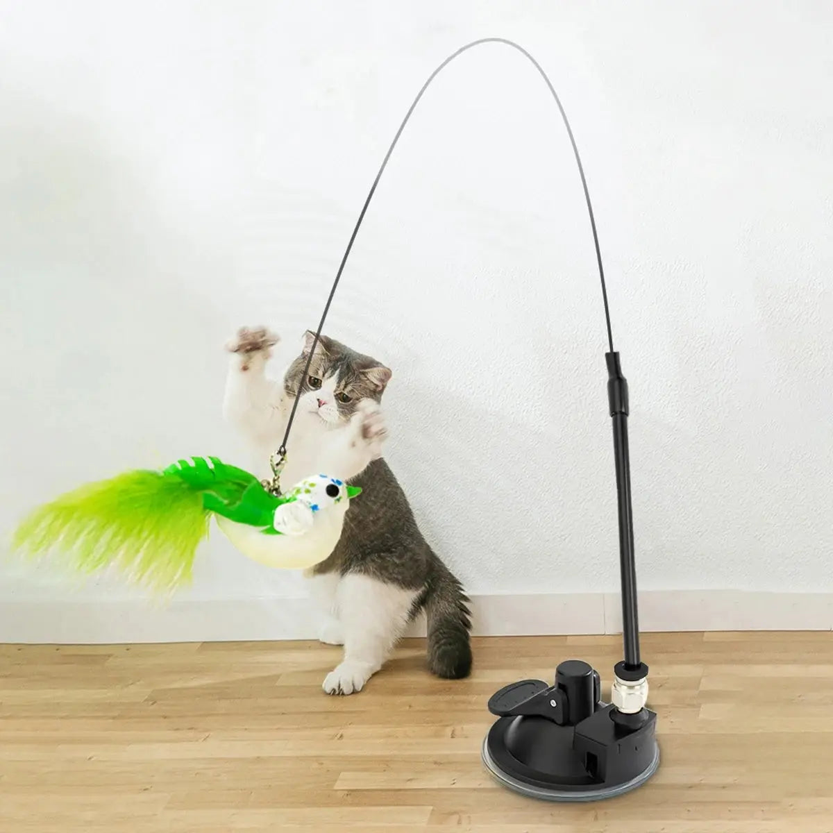 Veloura Feather Tease