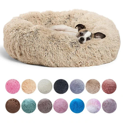 Cozy nest