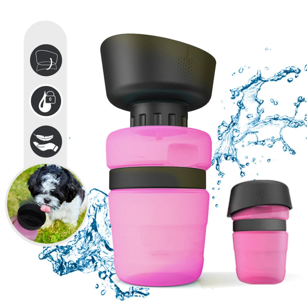 AquaPaws
