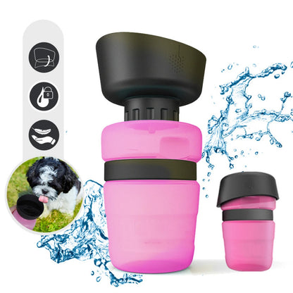 AquaPaws