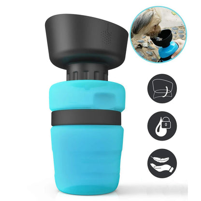 AquaPaws