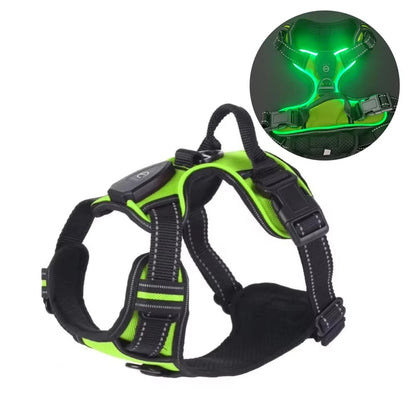LumaVest - hundsele med LED