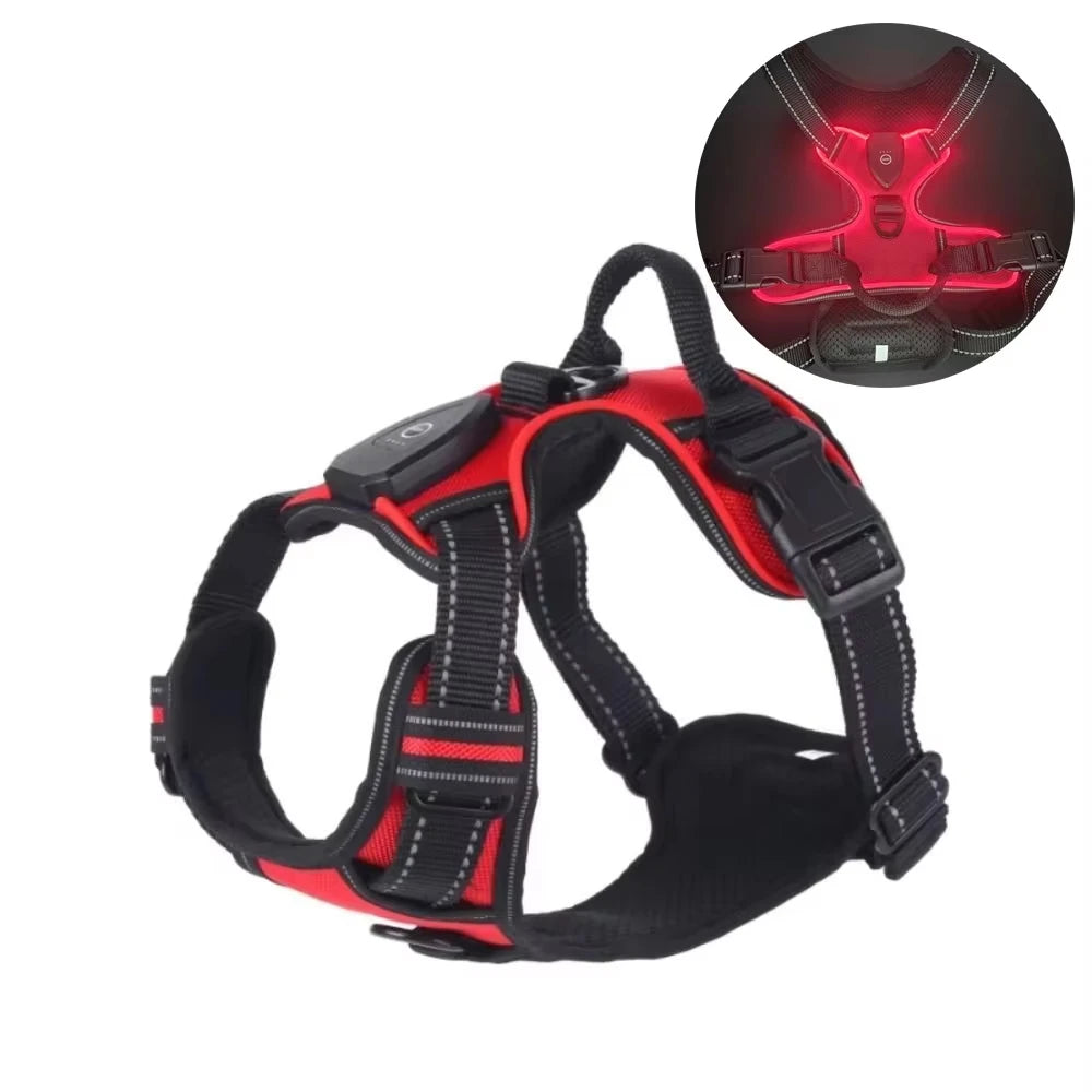 LumaVest - hundsele med LED