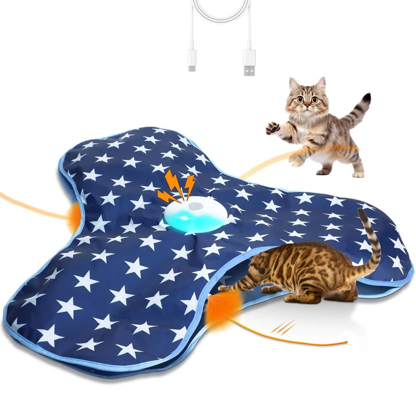 MeowMotion