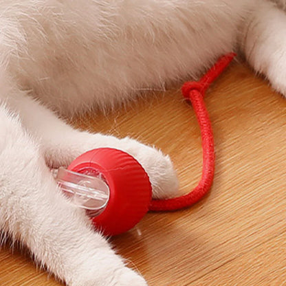 MindMeow - den intelligenta bollen