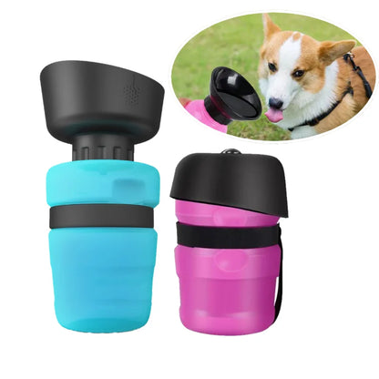 AquaPaws