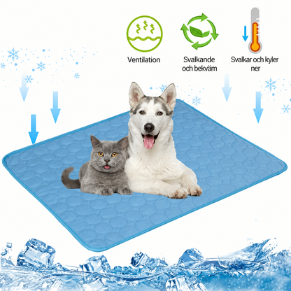 CoolPaws Mat