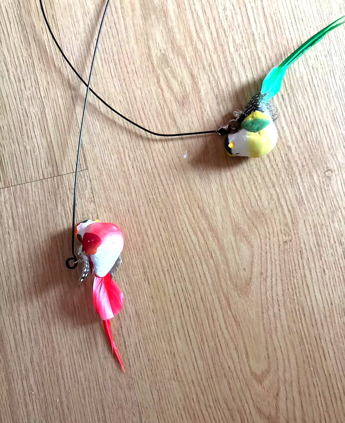 Veloura Feather Tease Duo