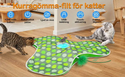 MeowMotion
