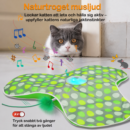 MeowMotion