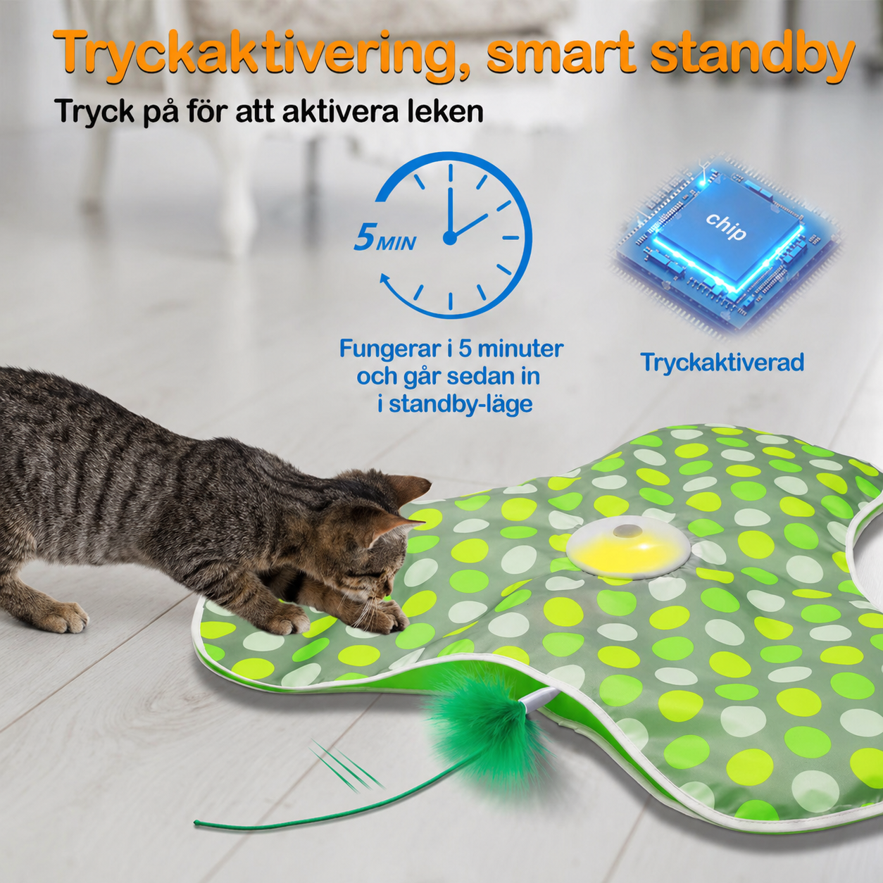 MeowMotion