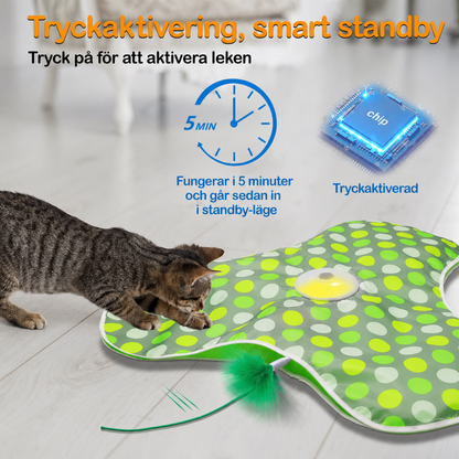 MeowMotion