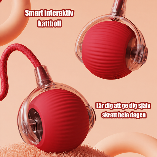 MindMeow - den intelligenta bollen