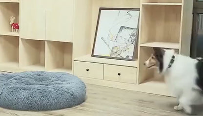 Cozy nest