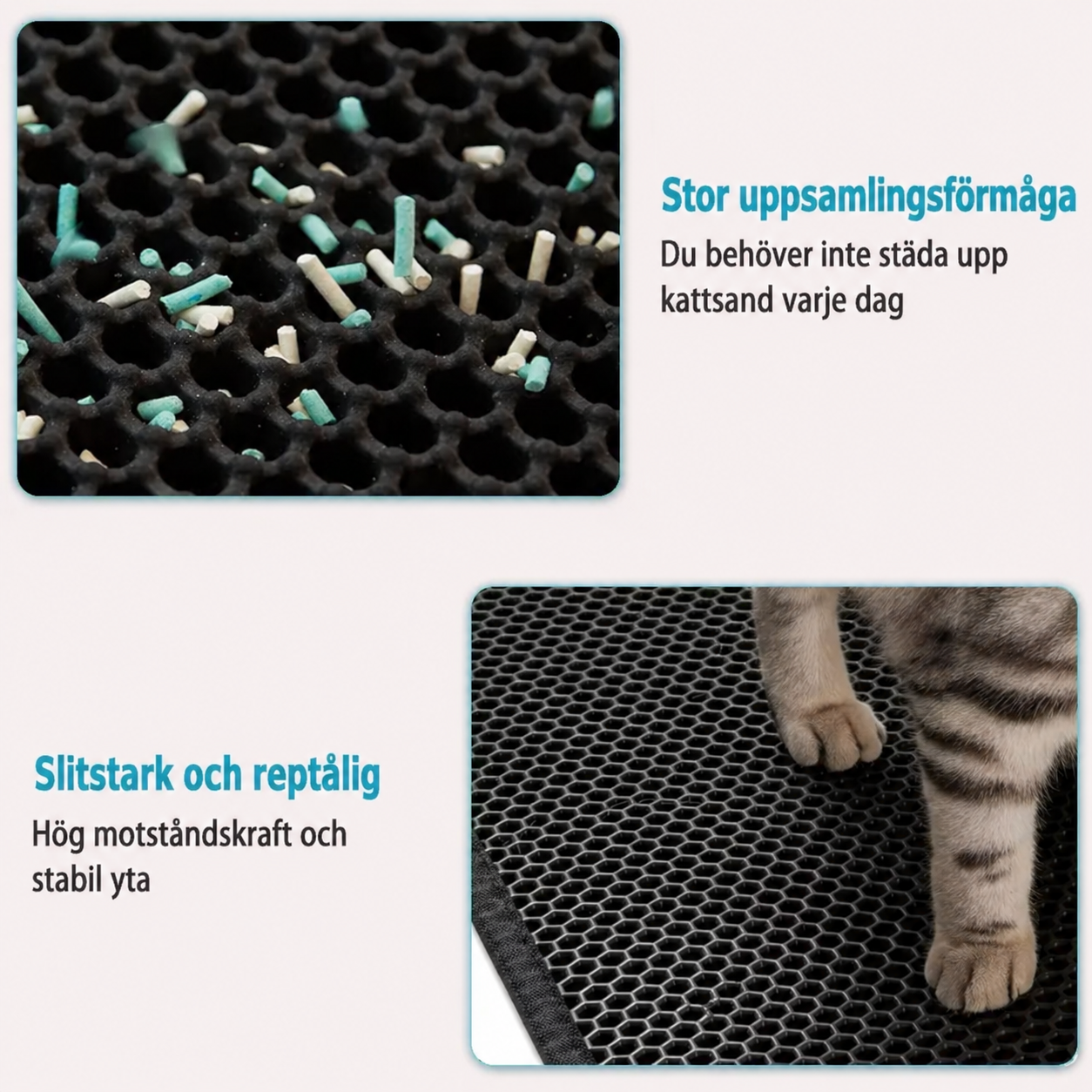 PawGuard